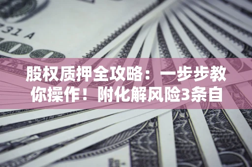 武汉股权质押全攻略：一步步教你操作！附化解风险3条自救法则
