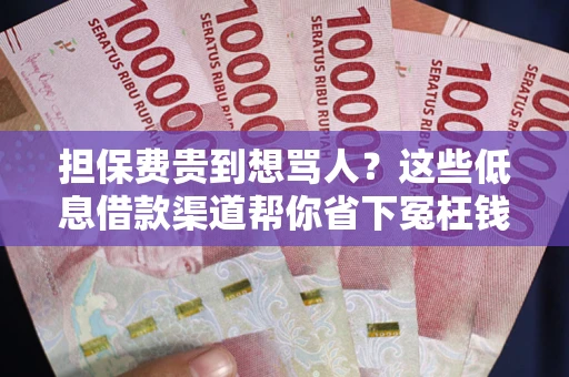 武汉担保费贵到想骂人？这些低息借款渠道帮你省下冤枉钱