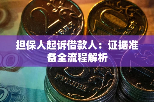 武汉担保人起诉借款人：证据准备全流程解析