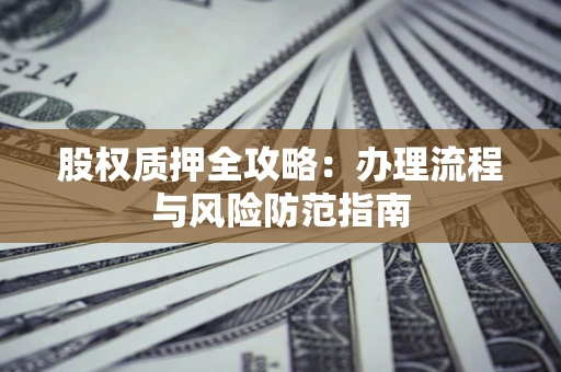武汉股权质押全攻略：办理流程与风险防范指南